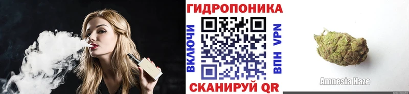 Бошки Шишки семена  купить наркотики сайты  Мглин 